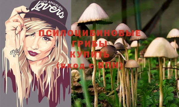 первитин Няндома