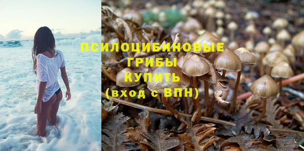 COCAINE Белокуриха