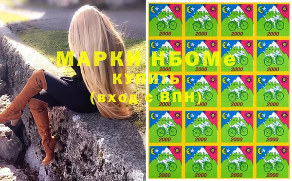 ПСИЛОЦИБИНОВЫЕ ГРИБЫ Белоозёрский