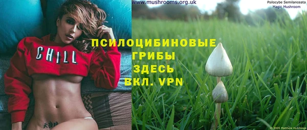 COCAINE Белокуриха